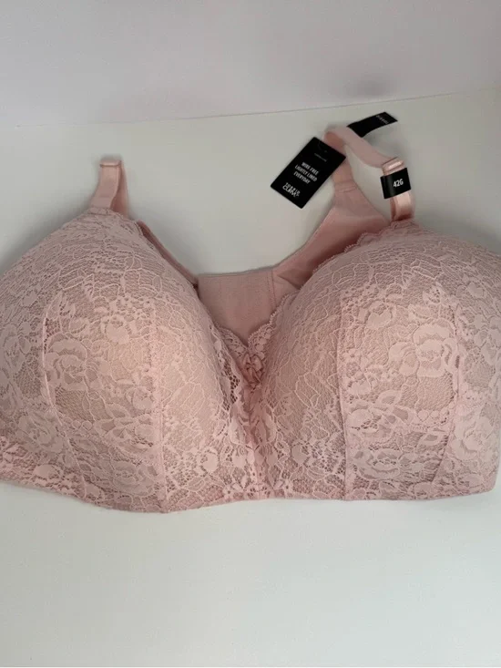 Torrid Blush Pink Lace Wire-Free Full Coverage Bra size 42G - Picture 11 of 12